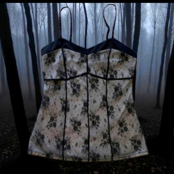 Y2K Express Glittery Babydoll Whimsigoth Dark Fairy Black Lace Camisole Sz M - Picture 1 of 10